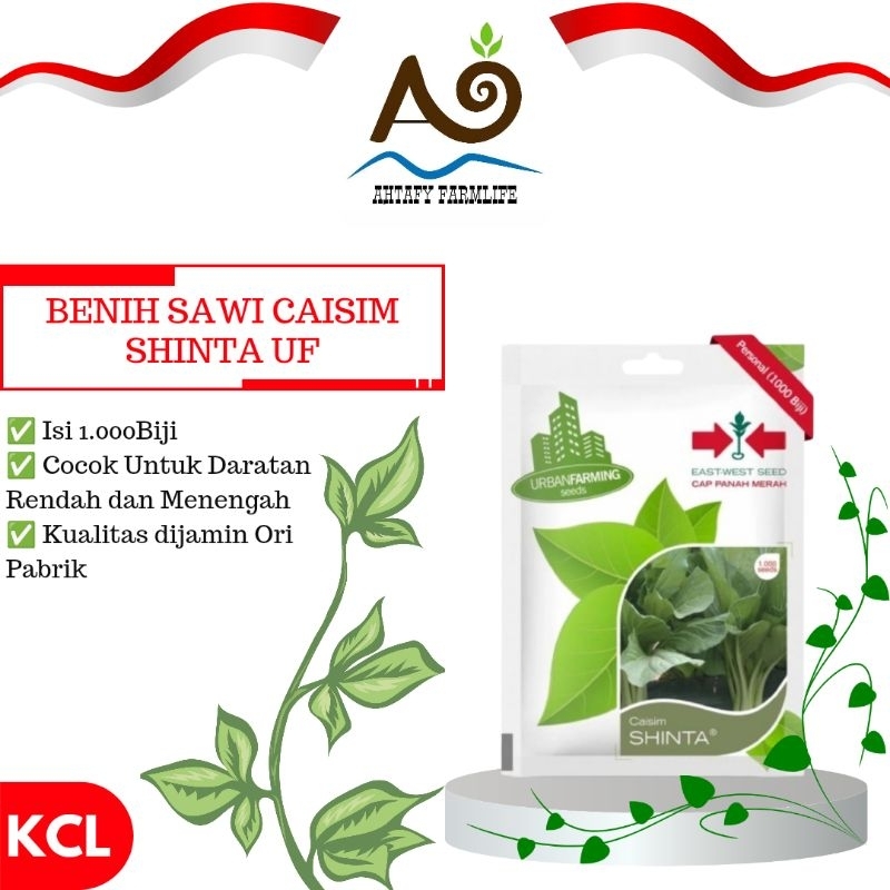 Benih Sawi Caisim Shinta UF