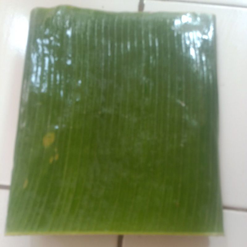 

daun pisang klutuk tua