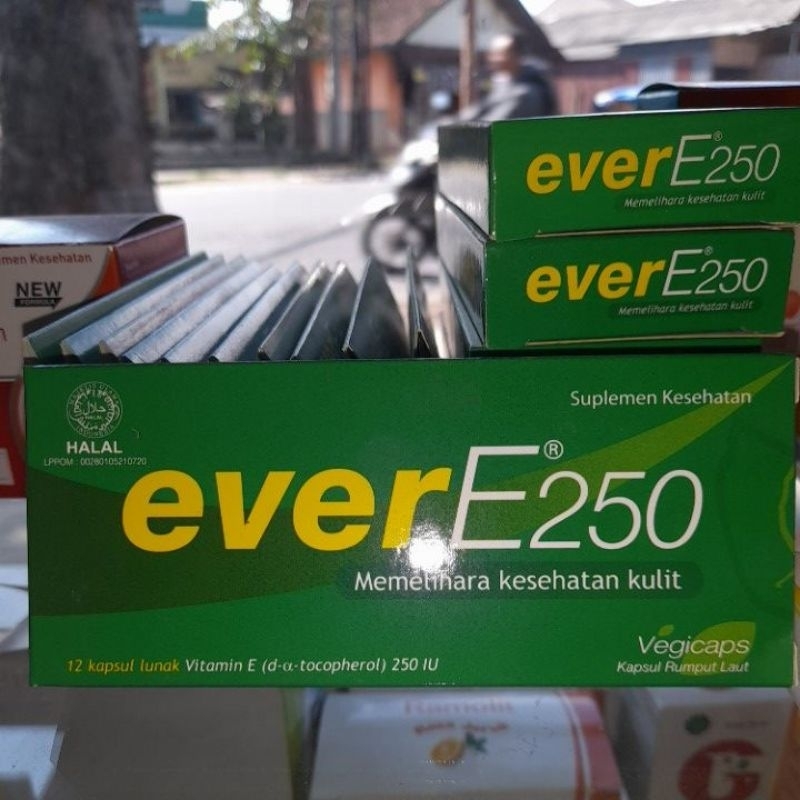 everE250 / ever E