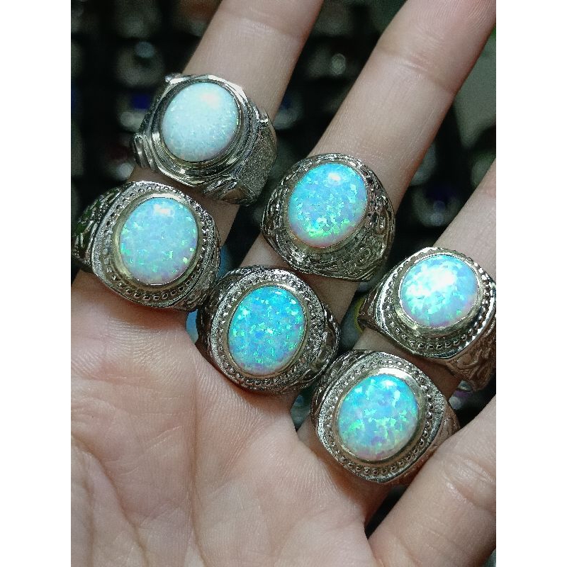 kalimaya susu Australi