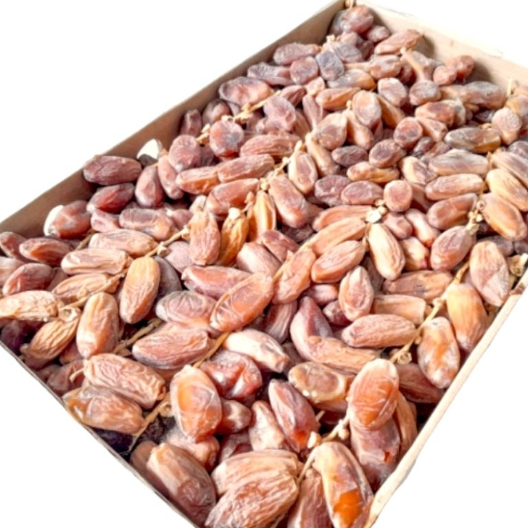 

Kurma Tunisia Tangkai Premium 5kg | Deglet Nour
