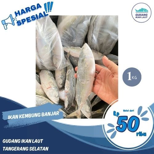 

IKAN KEMBUNG BANJAR LAUT FRESH FROZEN