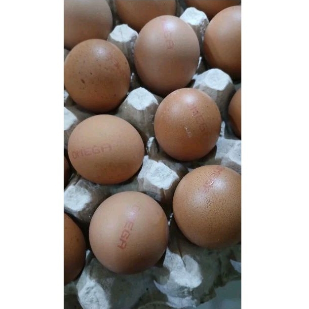 

Telor ayam omega cap asli pabrik 10butir