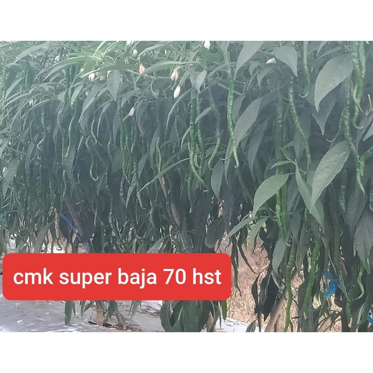 KODE I8E cmk super baja premiun  Kemasan baru