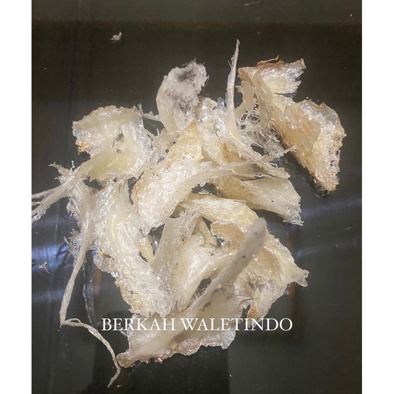 

Sarang walet ukuran kecil 2 cm an (harga per gram)