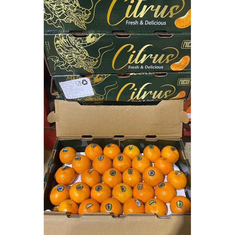 

Jeruk wogan citrus /kg