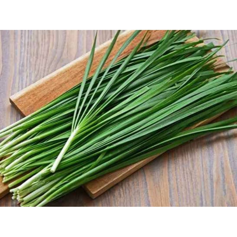 

Daun Kucai