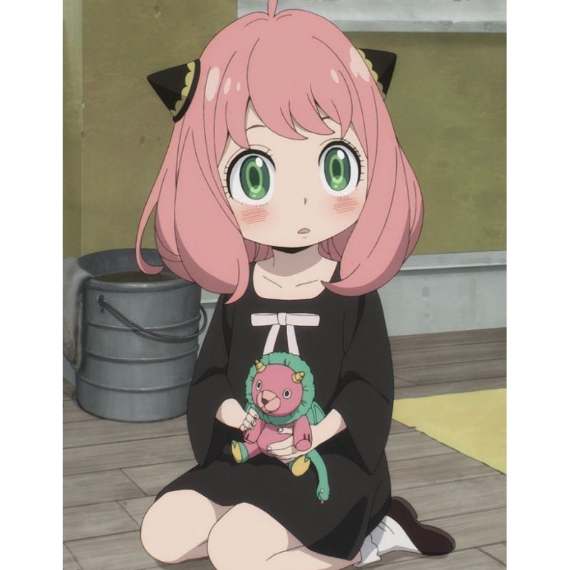 Jual kostum fullset anya daily