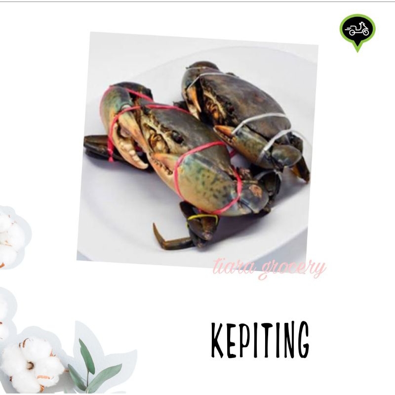

Kepiting