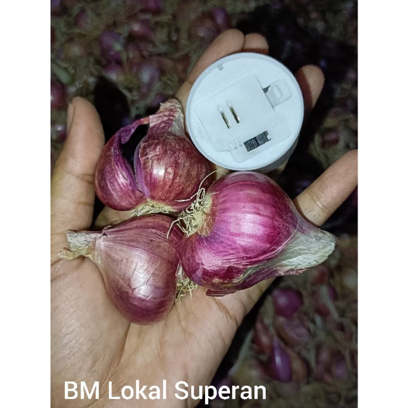 

Bawang merah Besar 1kg