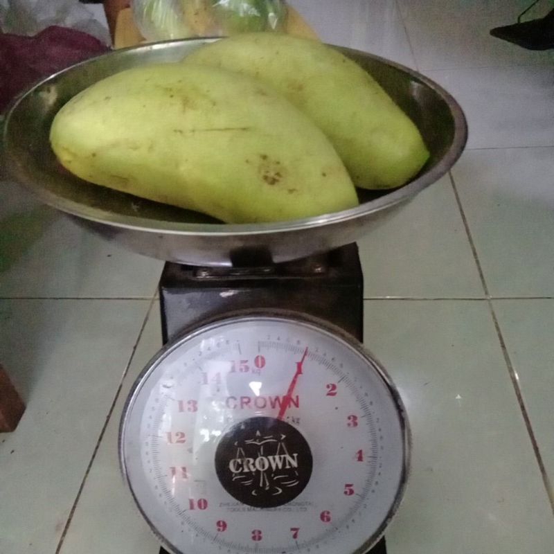 

buah mangga golek 1 kg