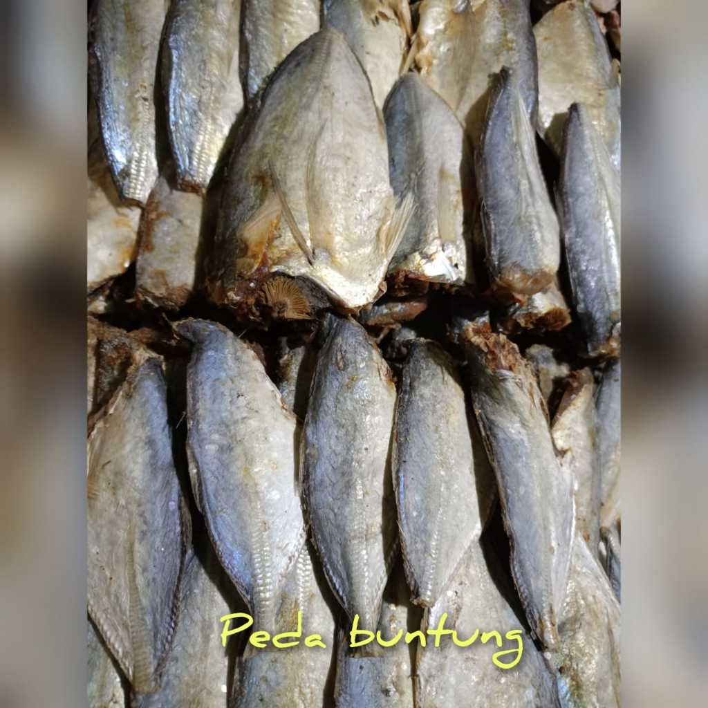 

Ikan Asin Peda Buntung Nomor Satu (1) Kualitas Terbaik Murah Meriah (250gr/500gr/1000gr)