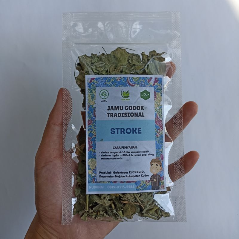 

Jamu Untuk Sakit Stroke Ringan Atau Lumpuh Herbal Storke