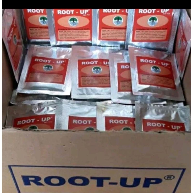 Perangsang akar root up 10 gram