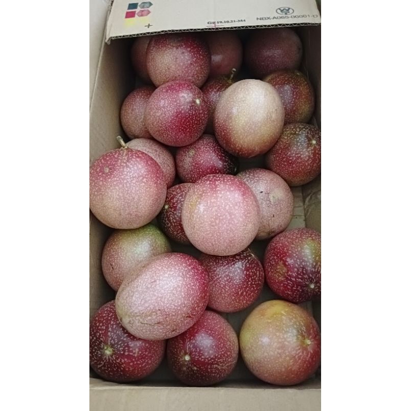 

READY MARKISA/MANIS/ASAM/SEGAR/1 Kg