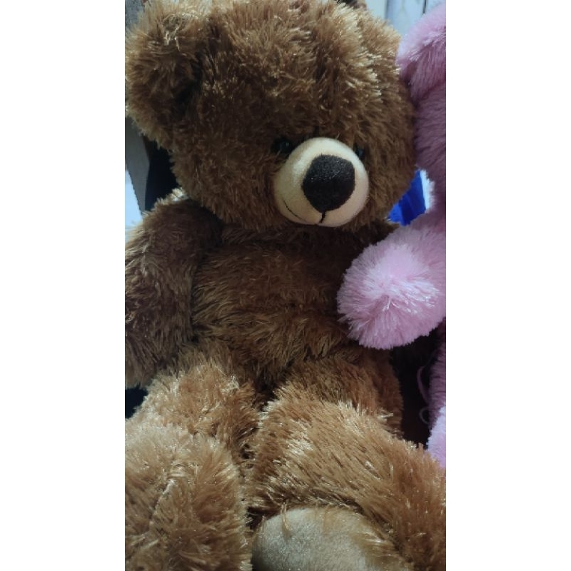 Tas Ransel Boneka Teddy Bear