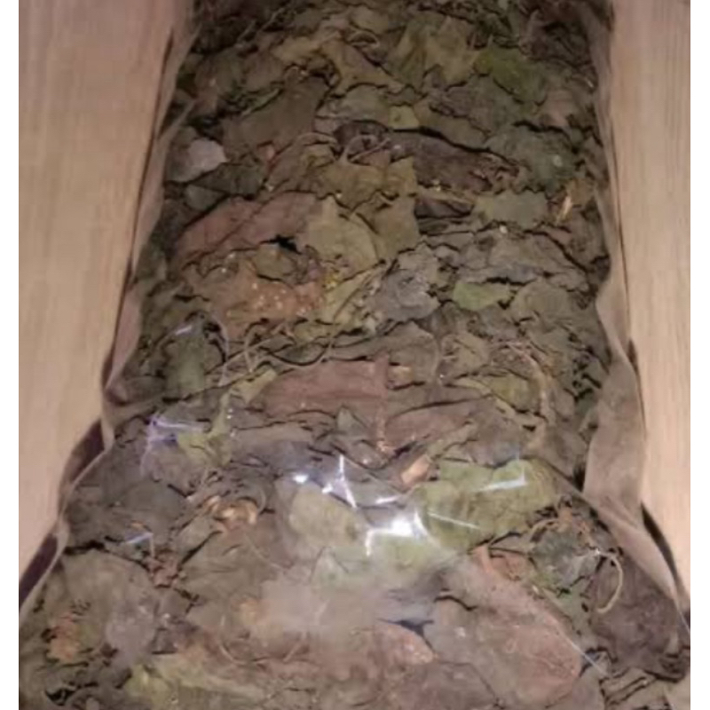 

Paket 1 kg daun sembung rambat kering-az