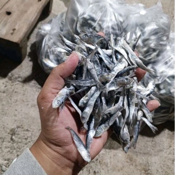 

IKAN TERI ASIN KERING / KRESEK IKAN ASIN ASLI PRIGI A1 PER 1KG