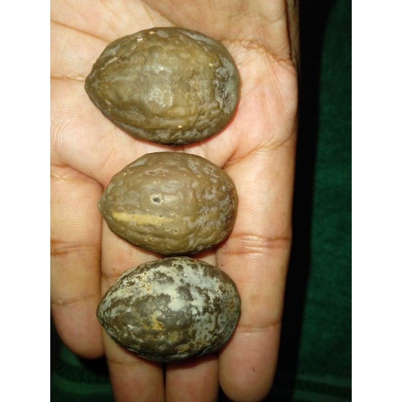 Jayanti Anak Milenial paket 3 biji