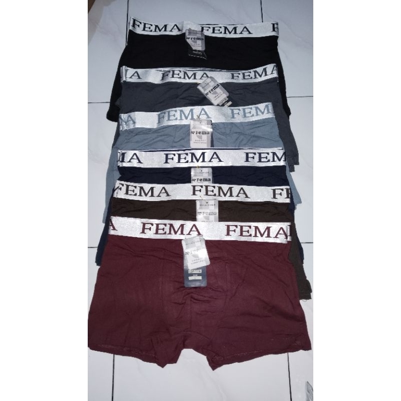 Celana Dalam Cowok Merk Fema