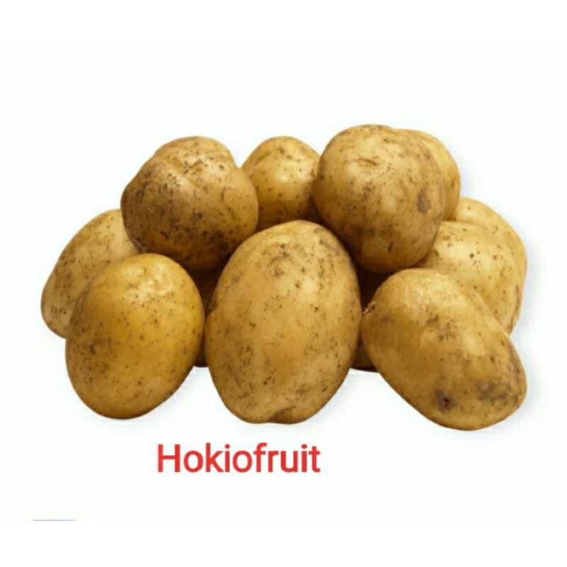 

Kentang /hokkysayur19