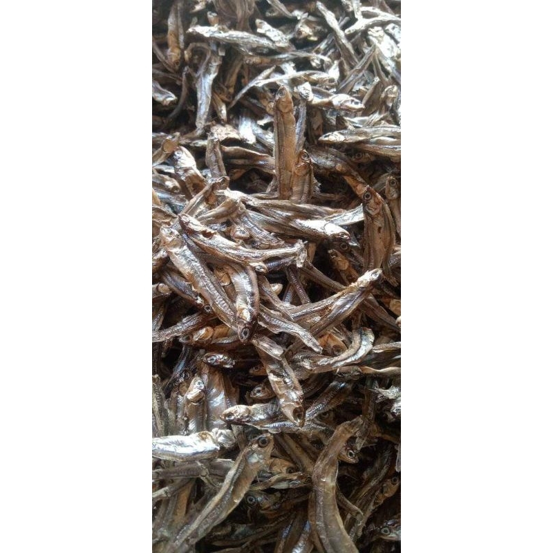 

ikan teri/ ikan Rono kering