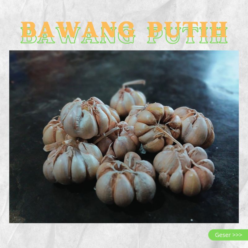 

BAWANG PUTIH KUALITAS SUPER PREMIUM