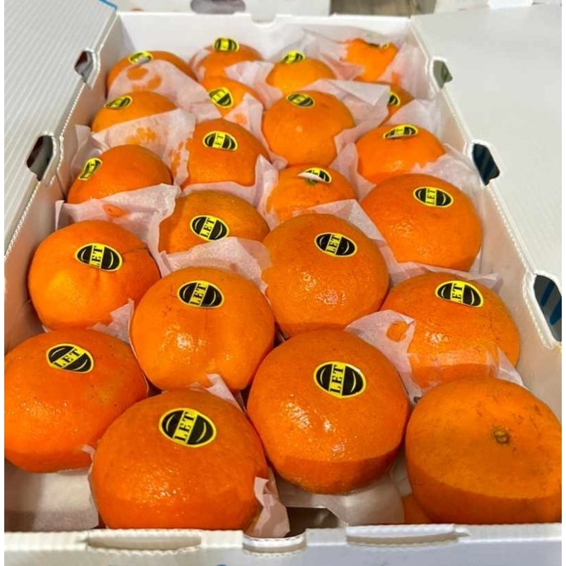 

Jeruk Wogan/Wokam/Mandarin
