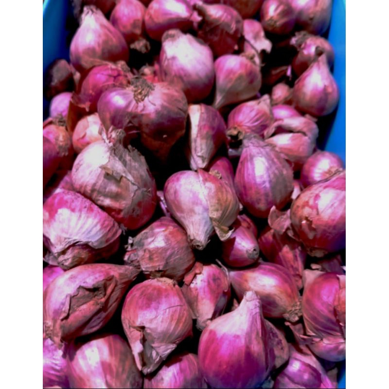 

Bawang Merah 500g | 1Kg