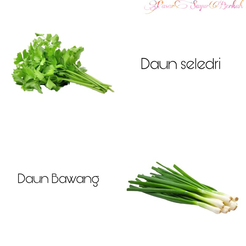 

Daun Bawang Seledri