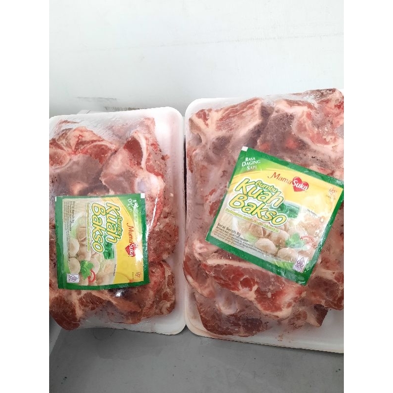 

Tulang Iga