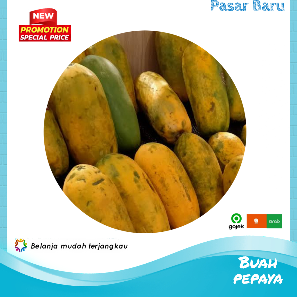 

Buah Pepaya • 1Kecil ✓ Murah | Pasar Baru Makassar