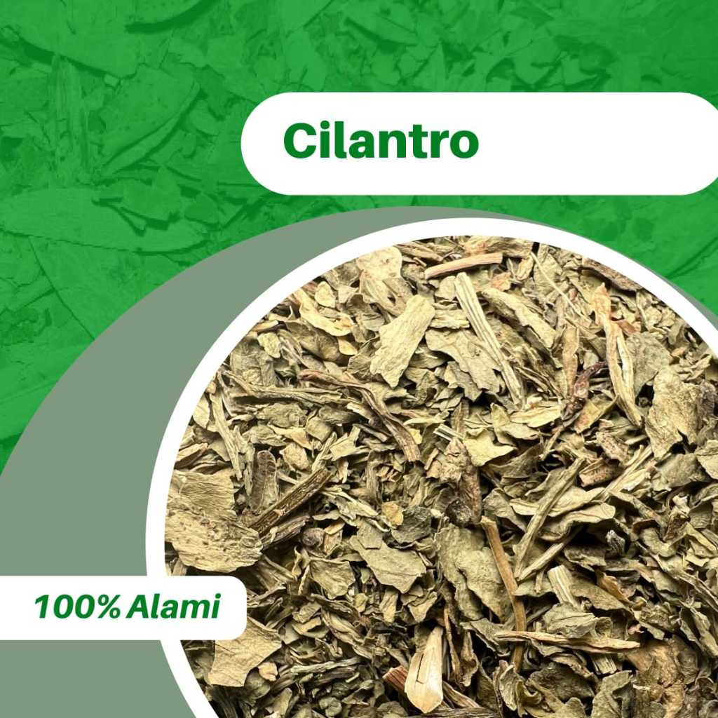 

500GR CILANTRO 100% ASLI