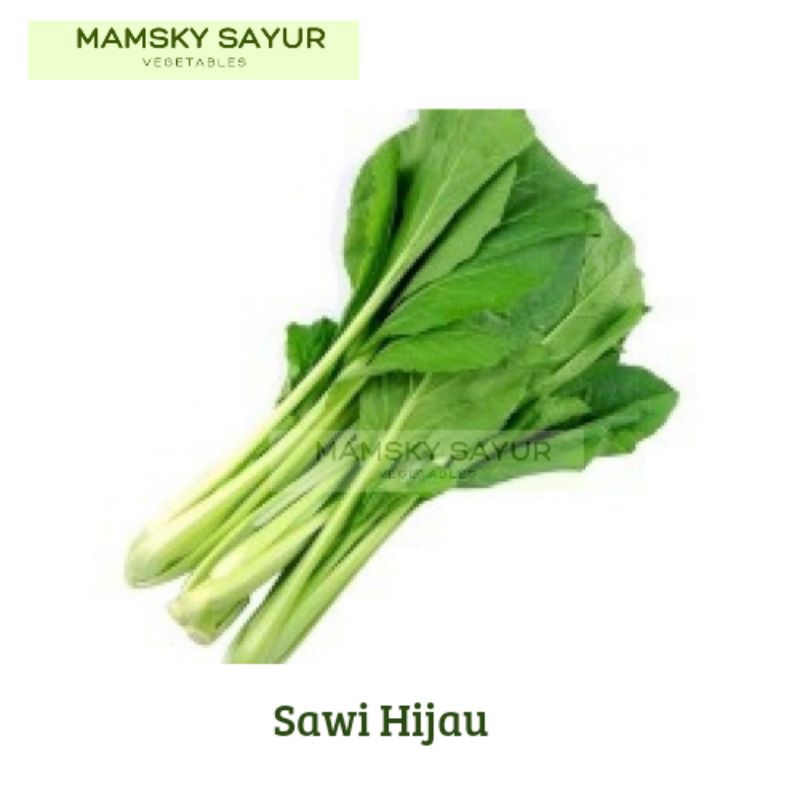 

Sawi Hijau 1 Ikat