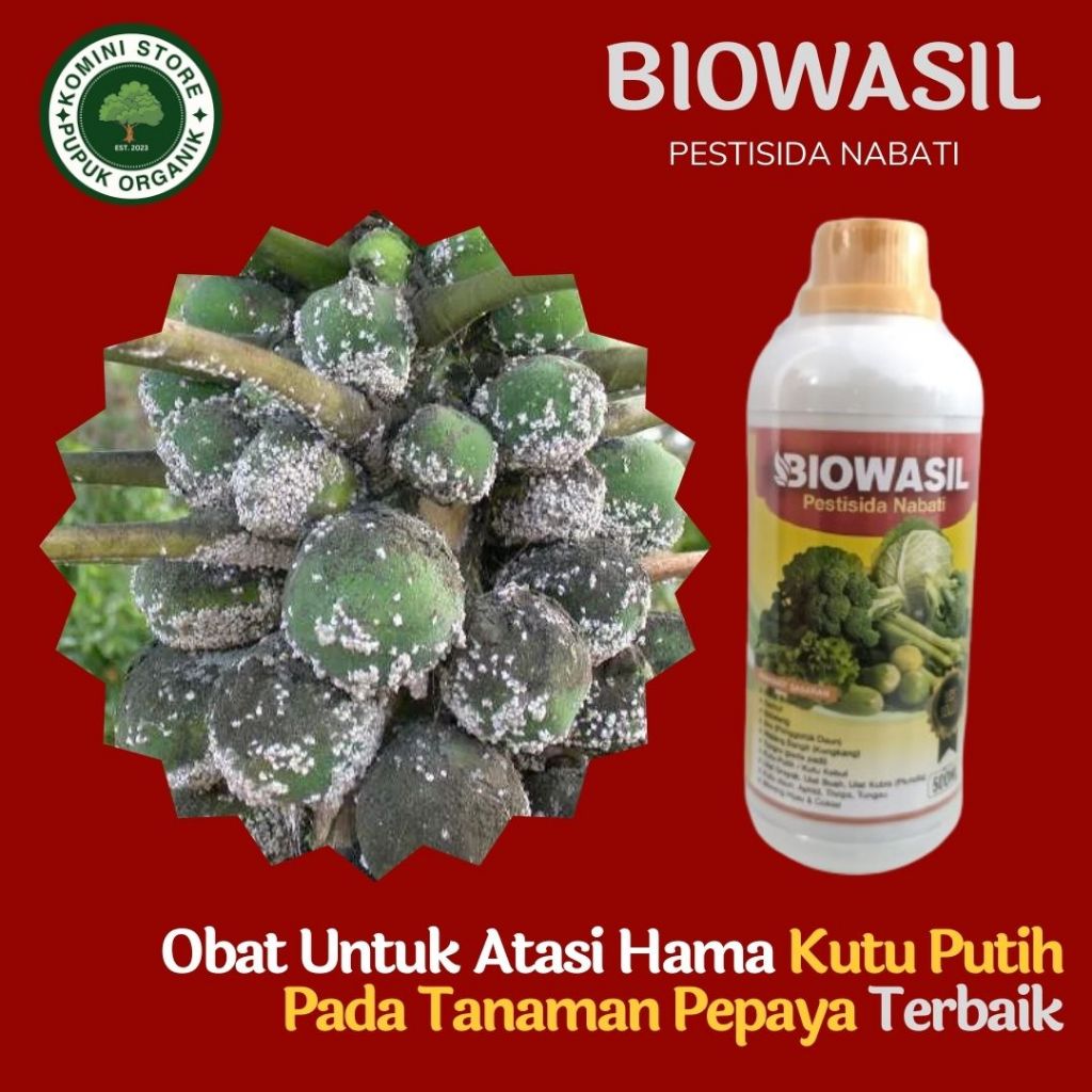Paling laris Biowasil 500ml Pupuk pestisida paling ampuh untuk mengatasi hama kutu kebul tanaman pep