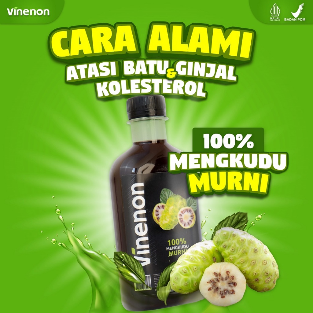 

VINENON Cuka Mengkudu Untuk Hancurkan Batu Ginjal Atasi Asam Urat