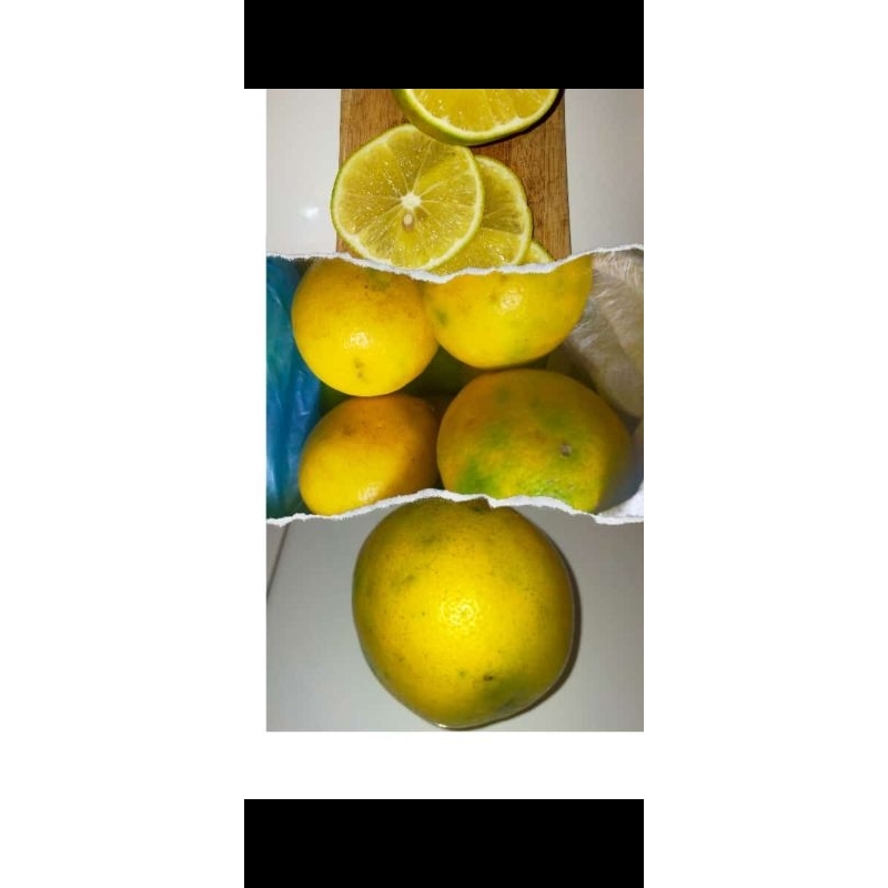 

lemon California fresh 1kg