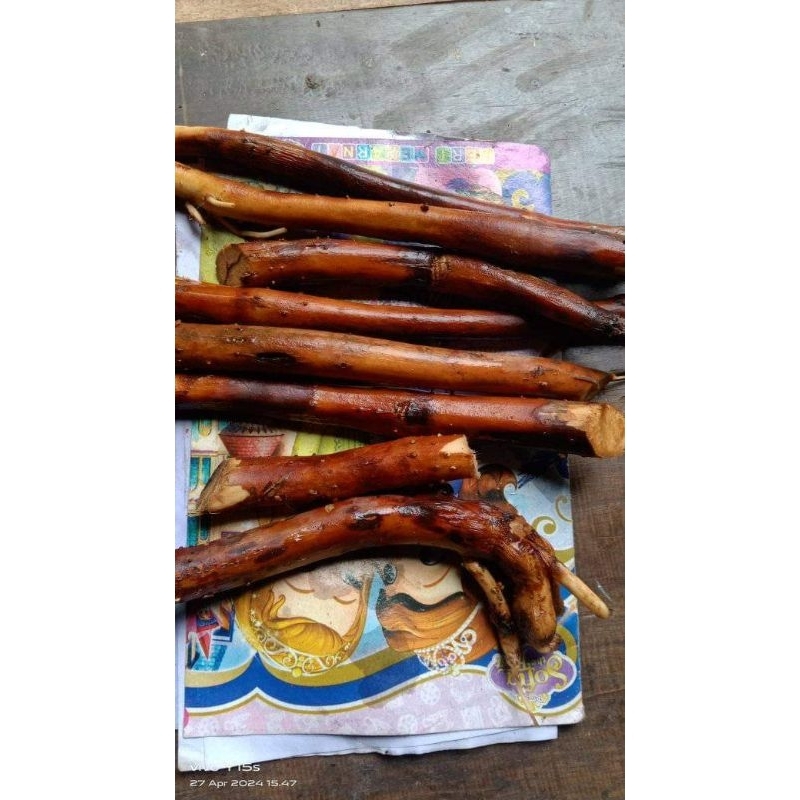 

Akar Pinang Muda Segar Baru Dipetik 100 Gram