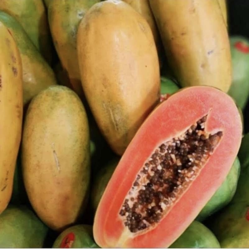 

Pepaya Matang siap makan size 1kg