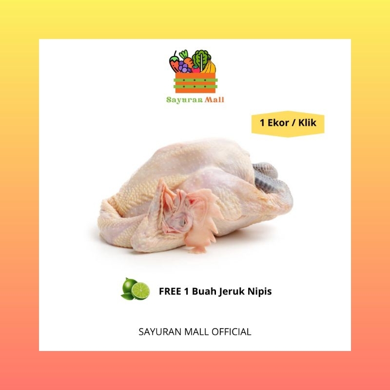 

1 Ekor Utuh Ayam Kampung Asli | Ayam Segar | SAYURANMALL