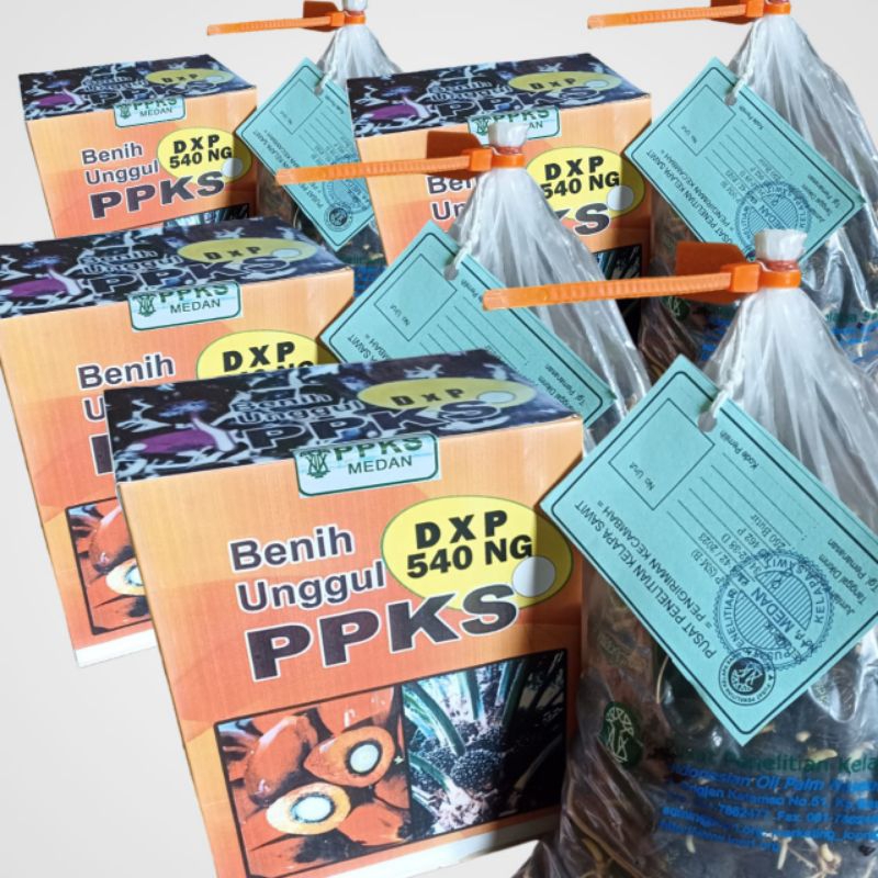 Bibit sawit unggul jaya  DXP PPKS 540