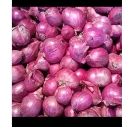 

Bawang Merah