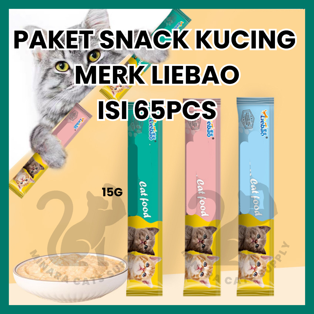 RAGASI_S - SNACK KUCING PAKET 65PCS 1KG MIX WETFOOD DRYFOOD CREAMY TREATS MEO RC AIBAK MINARA MURAH