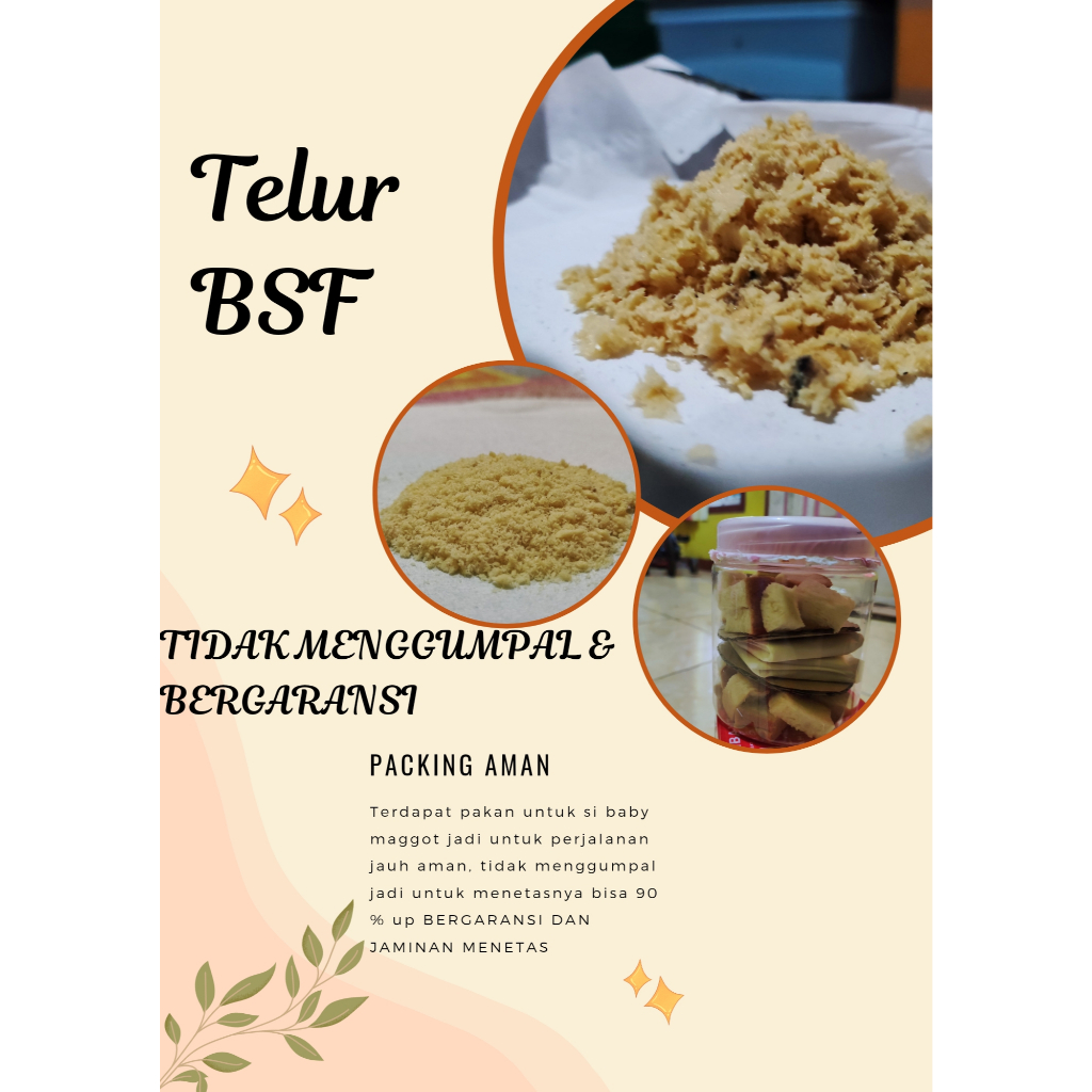 

Paket 15 gram Telur BSF / bibit lalat BSF / bibit Maggot