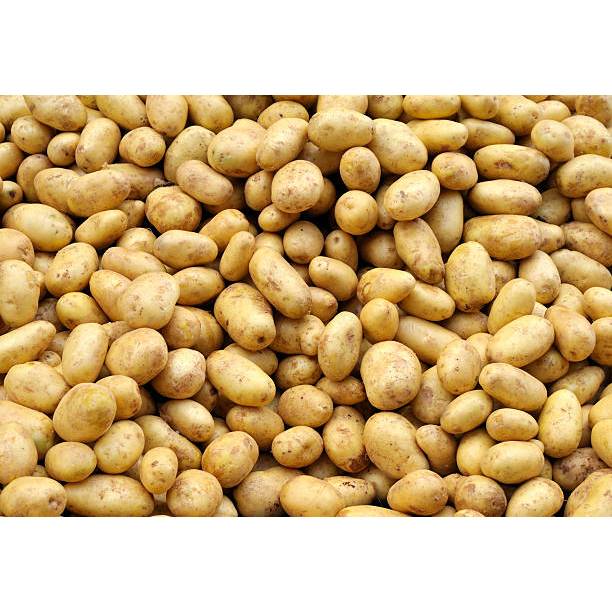 

Kentang Dieng Ukuran Super/Besar 1 kg