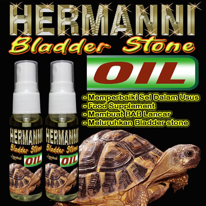 HERMANNI BLADDER STONE OIL OBAT MELURUHKAN BS TORTOISE VITAMIN FOOD SUPLEMENT TORTOISE MELANCARKAN P