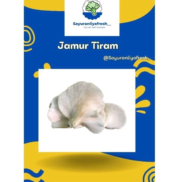 

Jamur Tiram