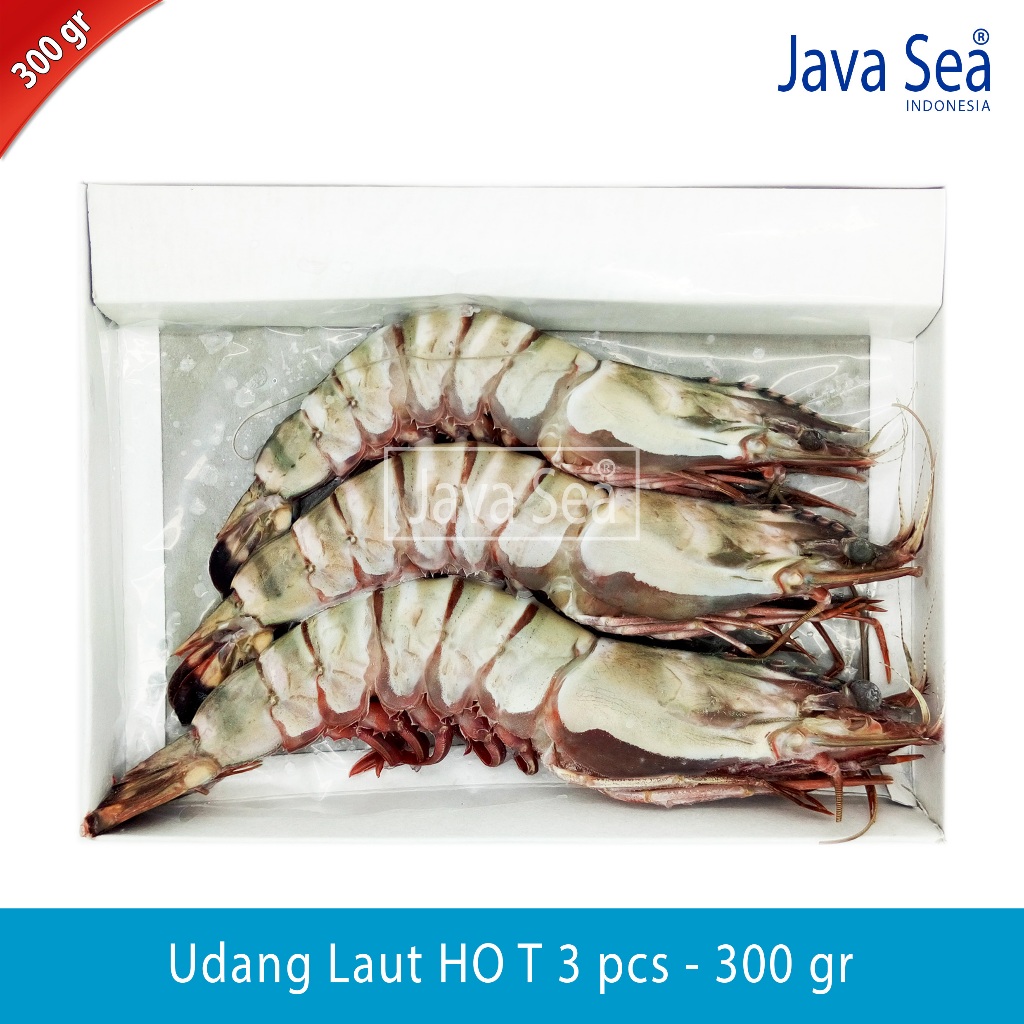 

Udang Laut Tiger Utuh Ada Kepala HO T-3 pack 300gr Java Sea