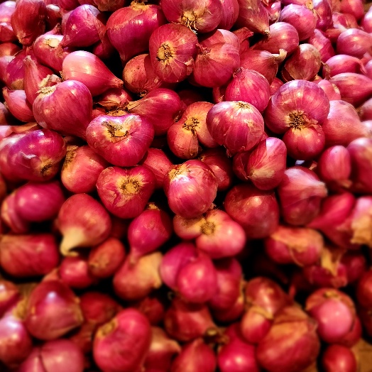 

KODE 7DMWJ Bawang Merah Probolinggo 1kg