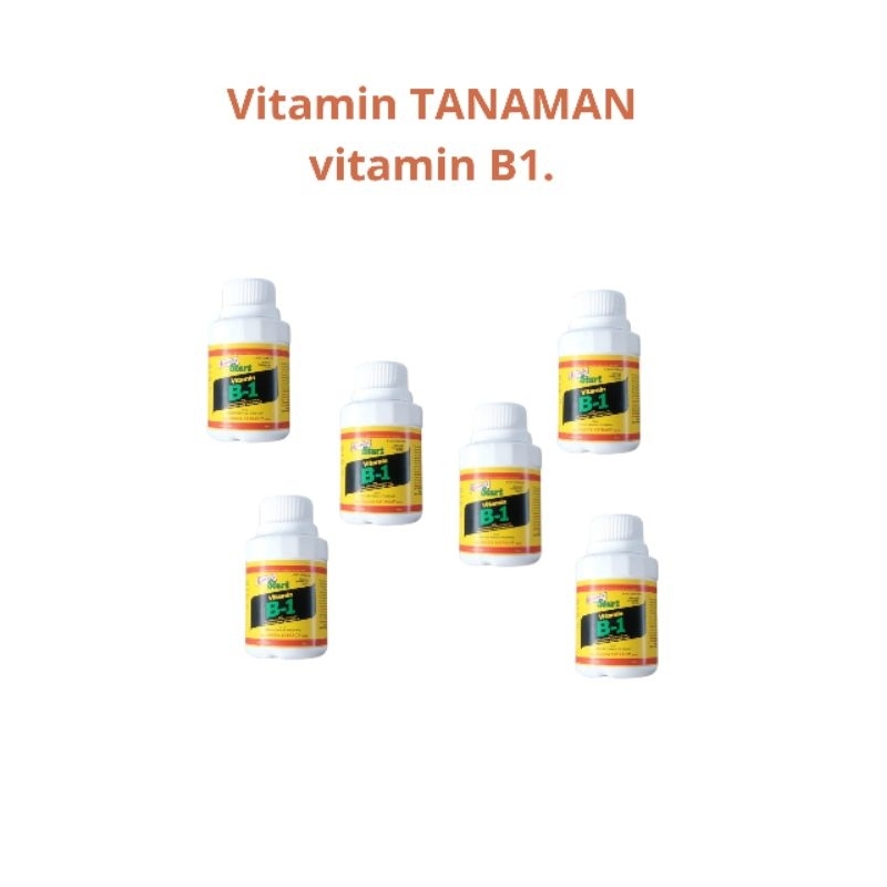 vitamin B1 TANAMAN